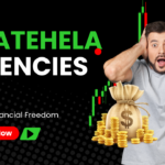 StateHela – How it Works